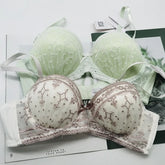 Lace embroidery Underwear