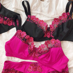 French Ultra Thin Push Up Bra Set