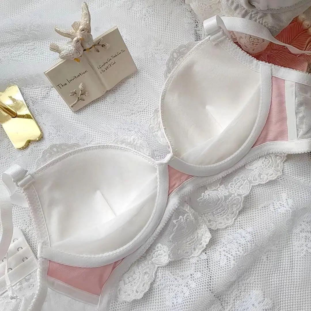 Japanese delicate court embroidery lingerie breifs suit thin cups girls students gathered sexy Underwear