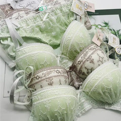 Lace embroidery Underwear