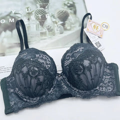 Lace mesh women's lingerie Set