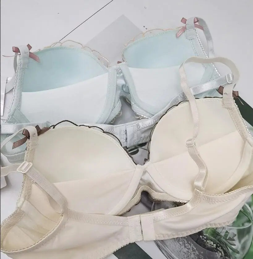 Sexy lace embroidered Underwear