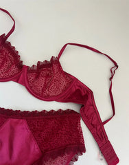 Sexy velvet lace bra Underwear