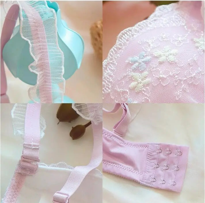 Violet fairy style lingerie high color embroidery Underwear