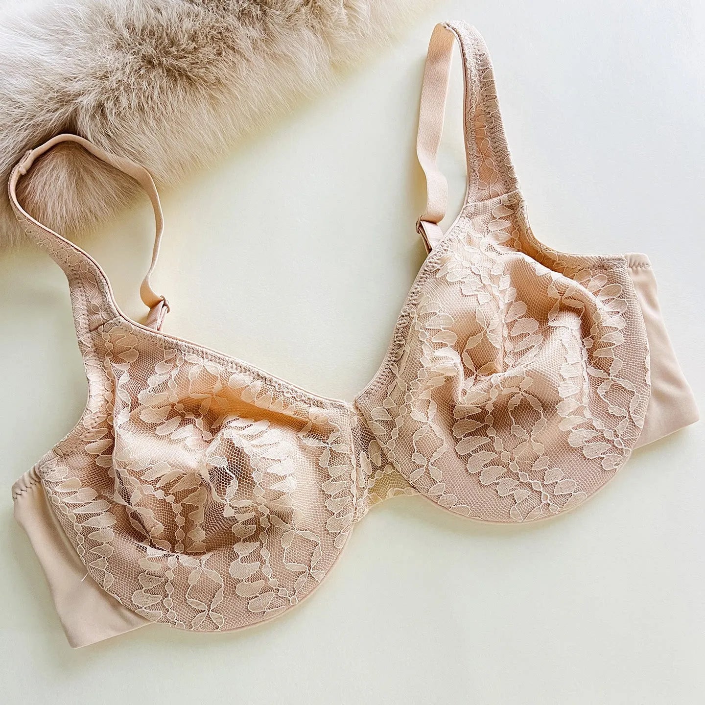 Women's Plus Size Underwear