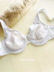 Women's Plus Size Underwear